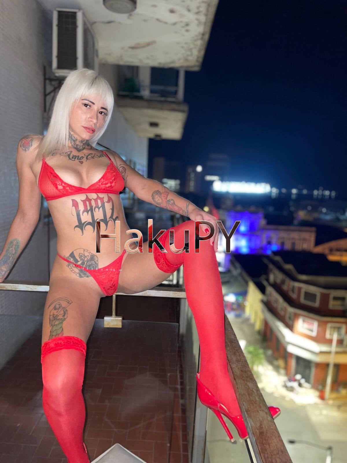 Imagen del catálogo