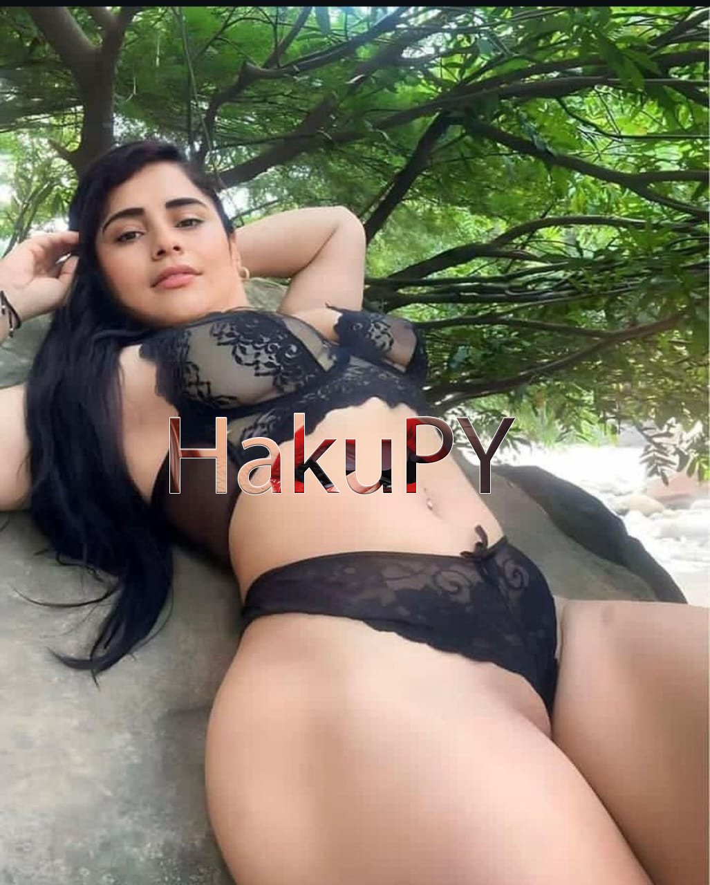 Imagen del catálogo